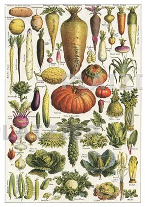 Vegetables, Larousse Ménager, 1926 (P6281)
